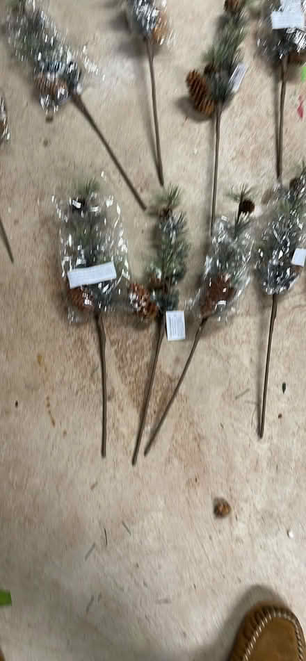 Photo of free Pine craft picks artify (Hatfield Pa) #3