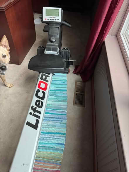 Photo of free Rowing Machine (Dunne) #1