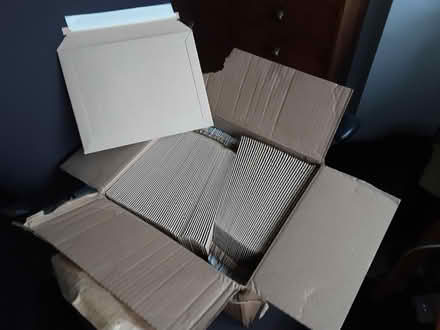 Photo of free Envelopes, cardboard self sealing (L25) #1