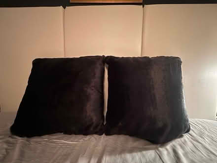 Photo of free Faux fur pillows (M4J 2X9) #2