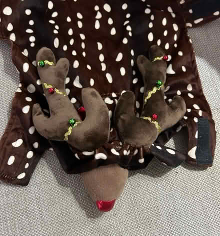 Photo of free Reindeer Dog Coat (Willaston CH64) #1