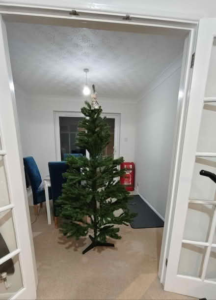 Photo of free 6 feet christmas tree (Sawston CB22) #1