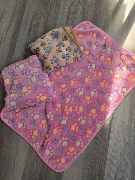 Photo of free 3 small pet blankets (Burtonsville) #1