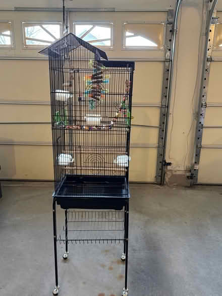 Photo of free Black bird Cage (Jackson) #1