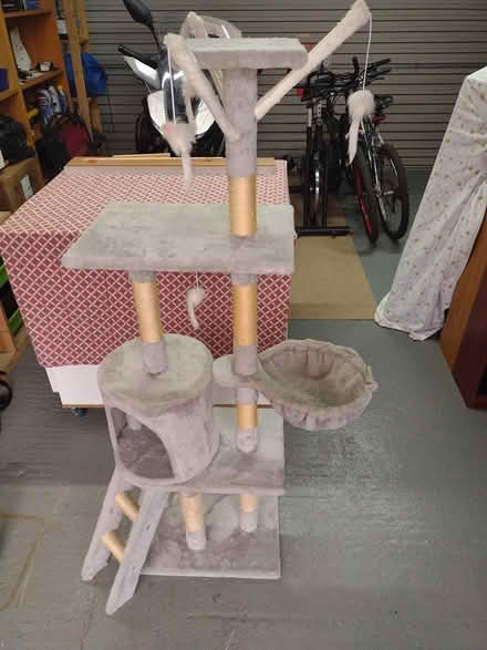 Photo of free Cat climber 5ft tall (Haydock) #1