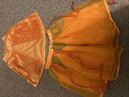 Photo of free Orange fairy costume age 3-5 (Hampton Hill TW11) #1