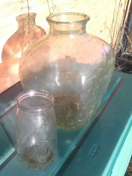 Photo of free Big glass bottles (High Brooms TN4) #1
