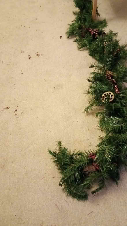 Photo of free 12 foot xmas swag (L25) #1