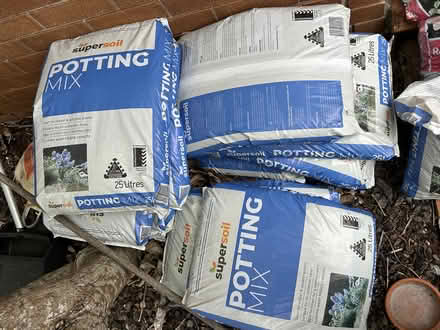 Photo of free Potting Mix (supersoil) (Newport, Northern Beaches.) #3