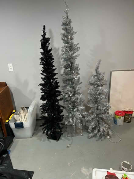 Photo of free Accent Christmas Trees (Lake Forest Park) #1