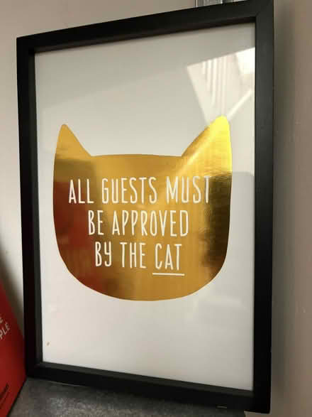 Photo of free Cat themed framed print decor (Upper Sydenham SE26) #1