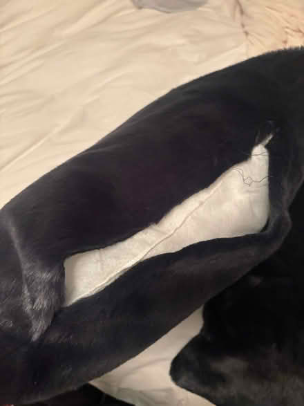 Photo of free Faux fur pillows (M4J 2X9) #4