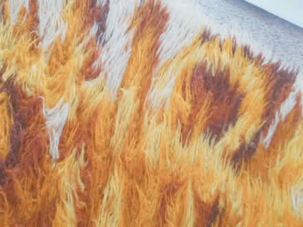 Photo of free Warm brown and yellow and cream rug (Putnoe MK41) #2