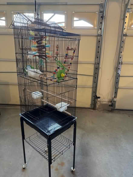 Photo of free Black bird Cage (Jackson) #2