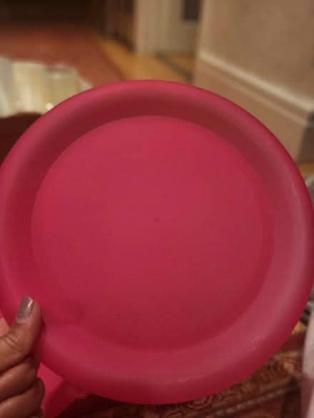 Photo of free Pink picnic set x 4 (Round Green LU3) #4