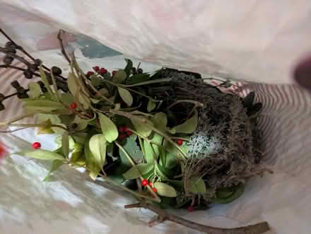 Photo of free Wreath Christmas foliage (Lowedges S8) #4