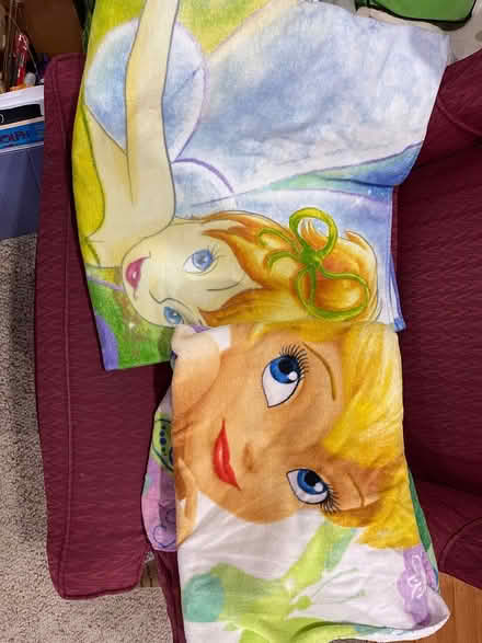 Photo of free Tinkerbell Towels (Kings Contrivance, Columbia) #1