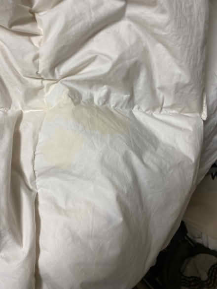 Photo of free Single Ikea feather down duvet (Upper Norwood SE19) #4