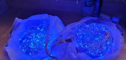 Photo of free Blue Xmas Lights Outdoor/indoor (Godalming) #1