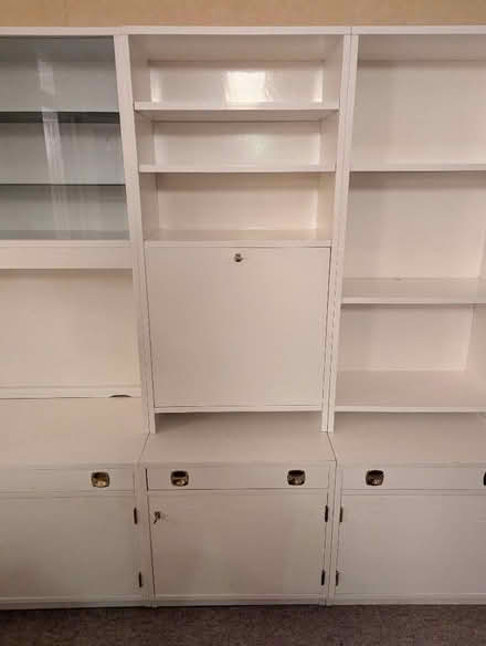 Photo of free Display cabinet and bookcase (Strawberry Hill TW1) #4
