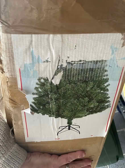 Photo of free Christmas Tree (Ingleby Barwick TS17) #1