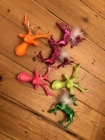 Photo of free Reindeer Christmas ornaments (Bristol BS5) #1