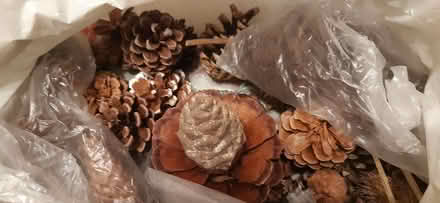 Photo of free Big bag of Xmas craft items (Aldingbourne PO20) #3