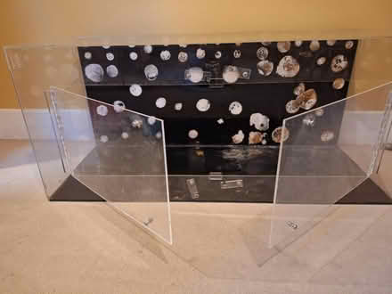 Photo of free Vivarium (St Albans) #2