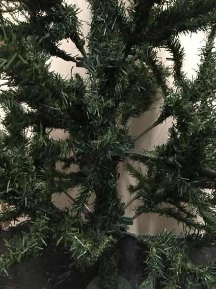 Photo of free Christmas tree (Slyfield GU1) #2