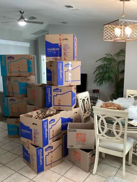 Photo of free Moving/Storage boxes (86404) #1