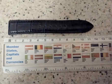 Photo of free Leather watch strap 20mm with spring bars (Belle Vue WF1) #3