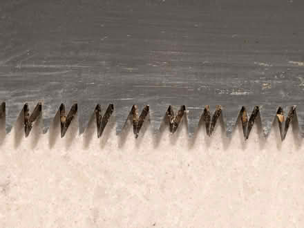 Photo of free Pruning saw (Hazeldean/Castlefrank area) #3