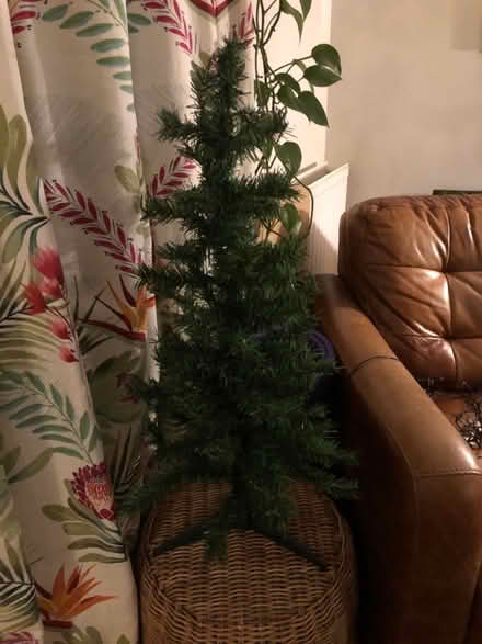 Photo of free Small Christmas tree (Bristol BS5) #1