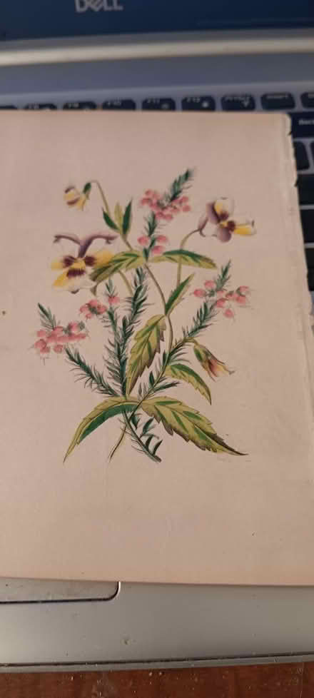 Photo of free flower print (melrose) #1