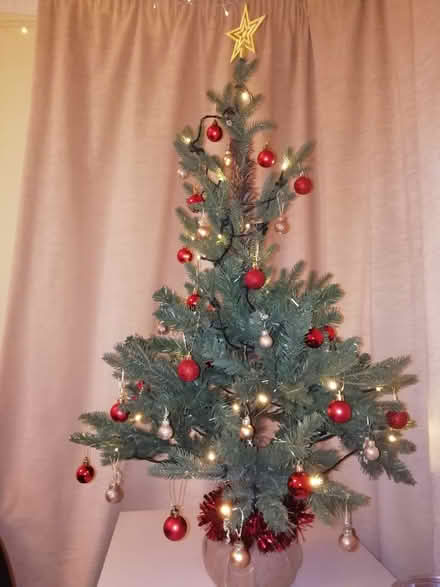 Photo of free Christmas Tree and Decorations (Cuffley EN6) #2