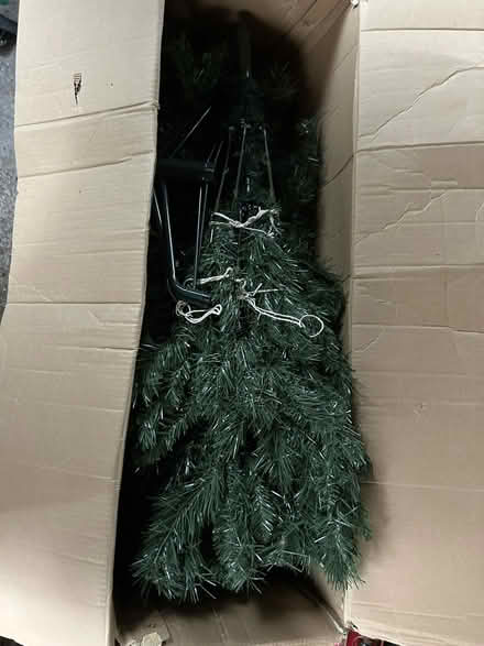 Photo of free Christmas Tree 7ft 6 inches (7.5 Foot 2.286 Metre) (Willaston CW5) #4