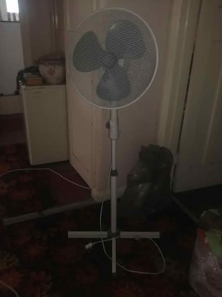 Photo of free Standing fan (Nr South Norwood Lakes SE19) #1