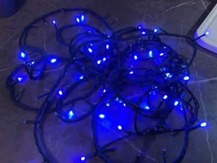 Photo of free Blue Christmas lights (East Carleton NR14) #2