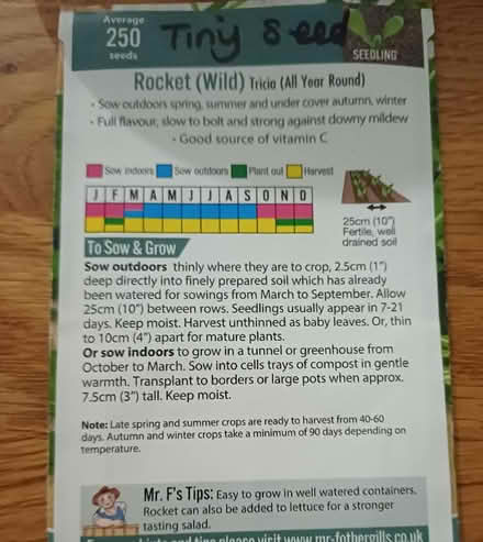 Photo of free Wild Rocket seeds. (Chichester PO19) #2