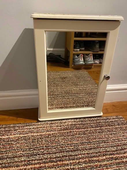 Photo of free Bathroom cabinet (Wallands Park BN7) #1