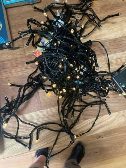 Photo of free Led Christmas lights (Deansgrange Road, Blackrock) #1