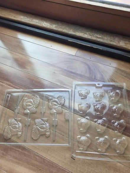 Photo of free Turkey chocolate molds (Port Monmouth) #1