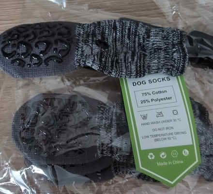 Photo of free Dog non-slip socks (Splott CF24) #1