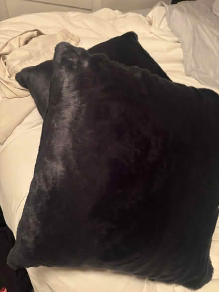 Photo of free Faux fur pillows (M4J 2X9) #1