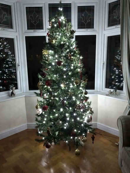 Photo of free Christmas Tree 7ft 6 inches (7.5 Foot 2.286 Metre) (Willaston CW5) #3