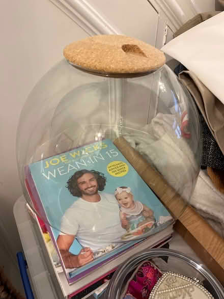 Photo of free LSA glass terrarium (W3 Acton) #1