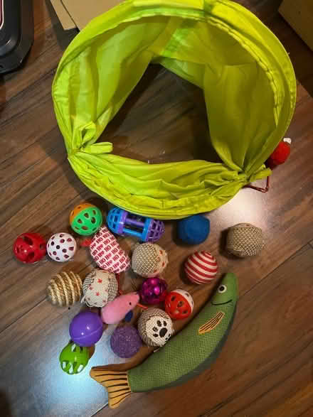Photo of free Cat Toys (Bellingham SE6) #1