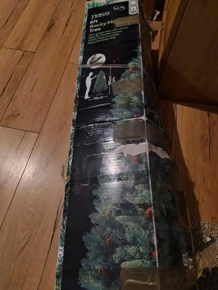 Photo of free Christmas tree (CH41) #1