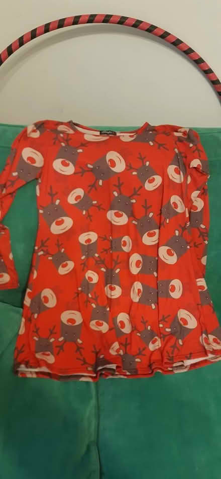 Photo of free Reindeer dress (Aldingbourne PO20) #3