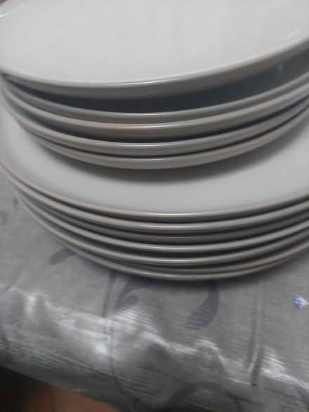 Photo of free Dinner plates (CW2) #2